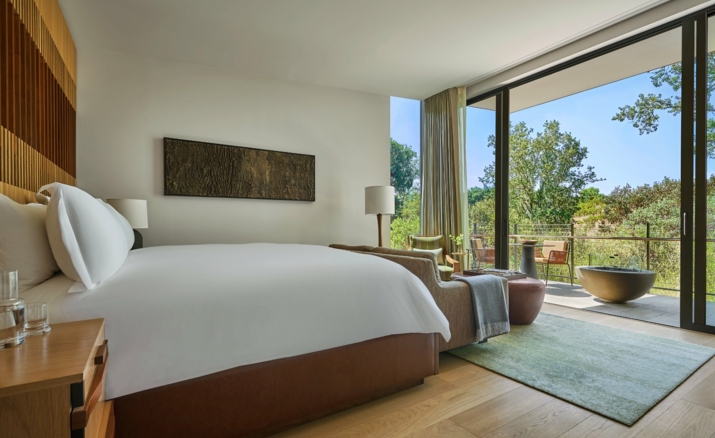 Deluxe Forest King Room